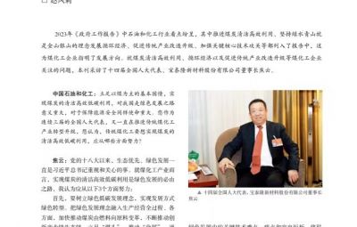 打破傳統(tǒng)走綠色轉(zhuǎn)型之路——訪十四屆全國人大代表、寶泰隆新材料股份有限公司董事長焦云