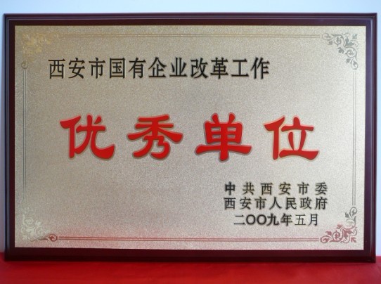 2009年5月，被西安市委、市政府評為西安市國企業(yè)改革工作優(yōu)秀單位