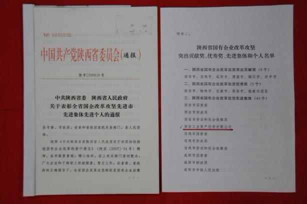 2009年2月，被陜西省委、省政府授予陜西省國有企業(yè)改革攻堅先進集體
